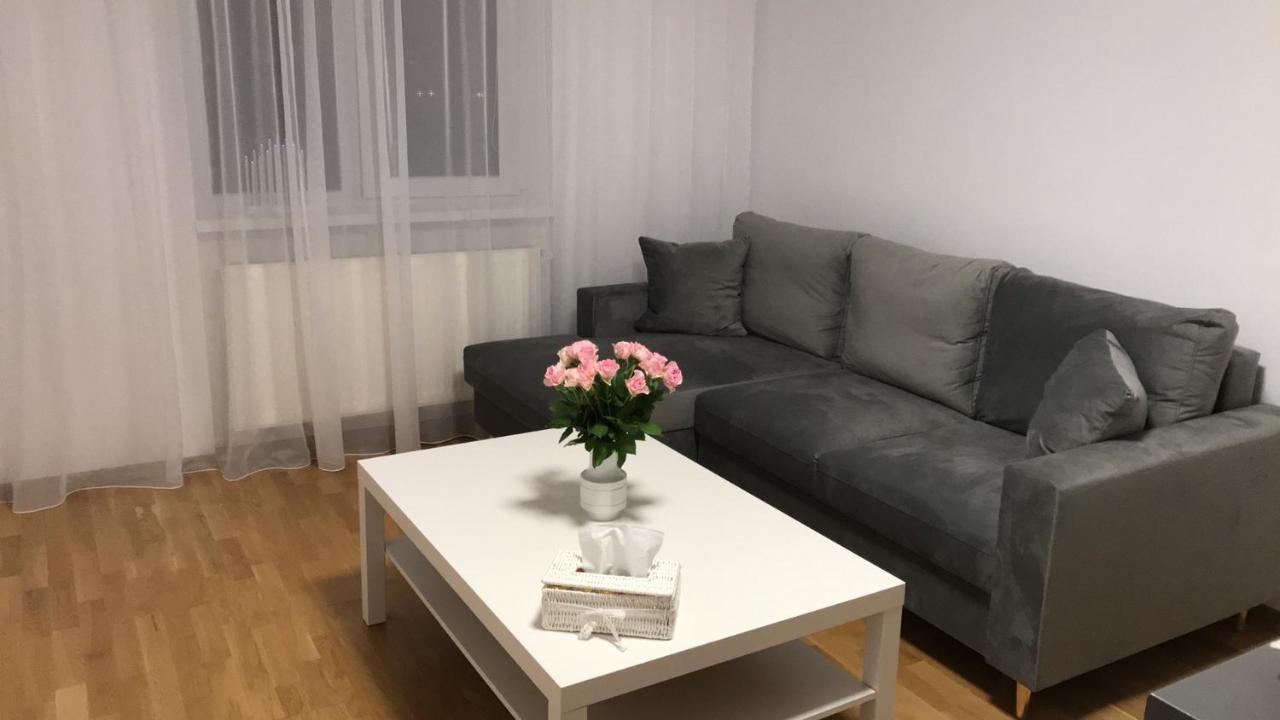 Anna'S Lovely Home 시기쇼아라 외부 사진